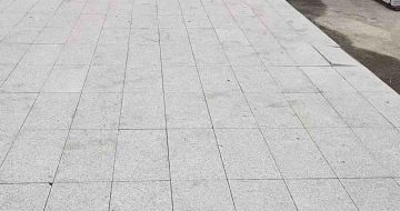 中卫芝麻白地铺案例