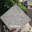 中卫 芝麻白荔枝面干挂