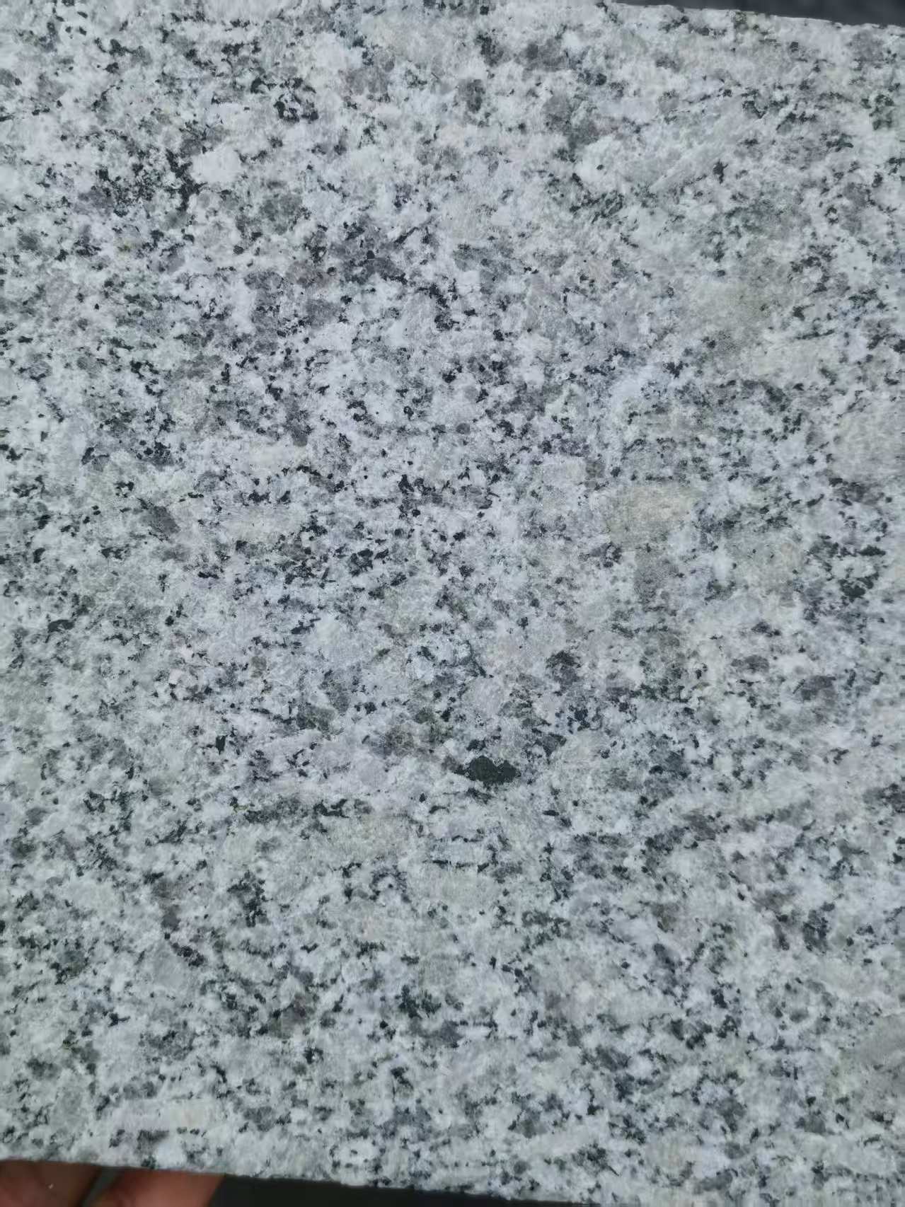 中卫 芙蓉白火烧面