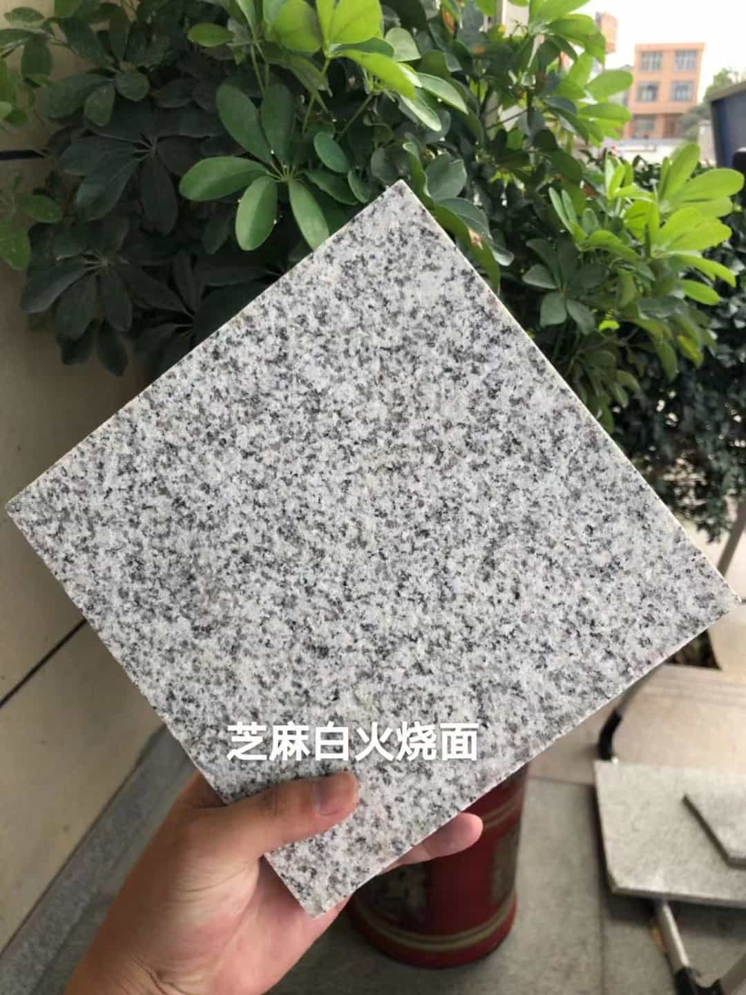 中卫芝麻白火烧面地铺