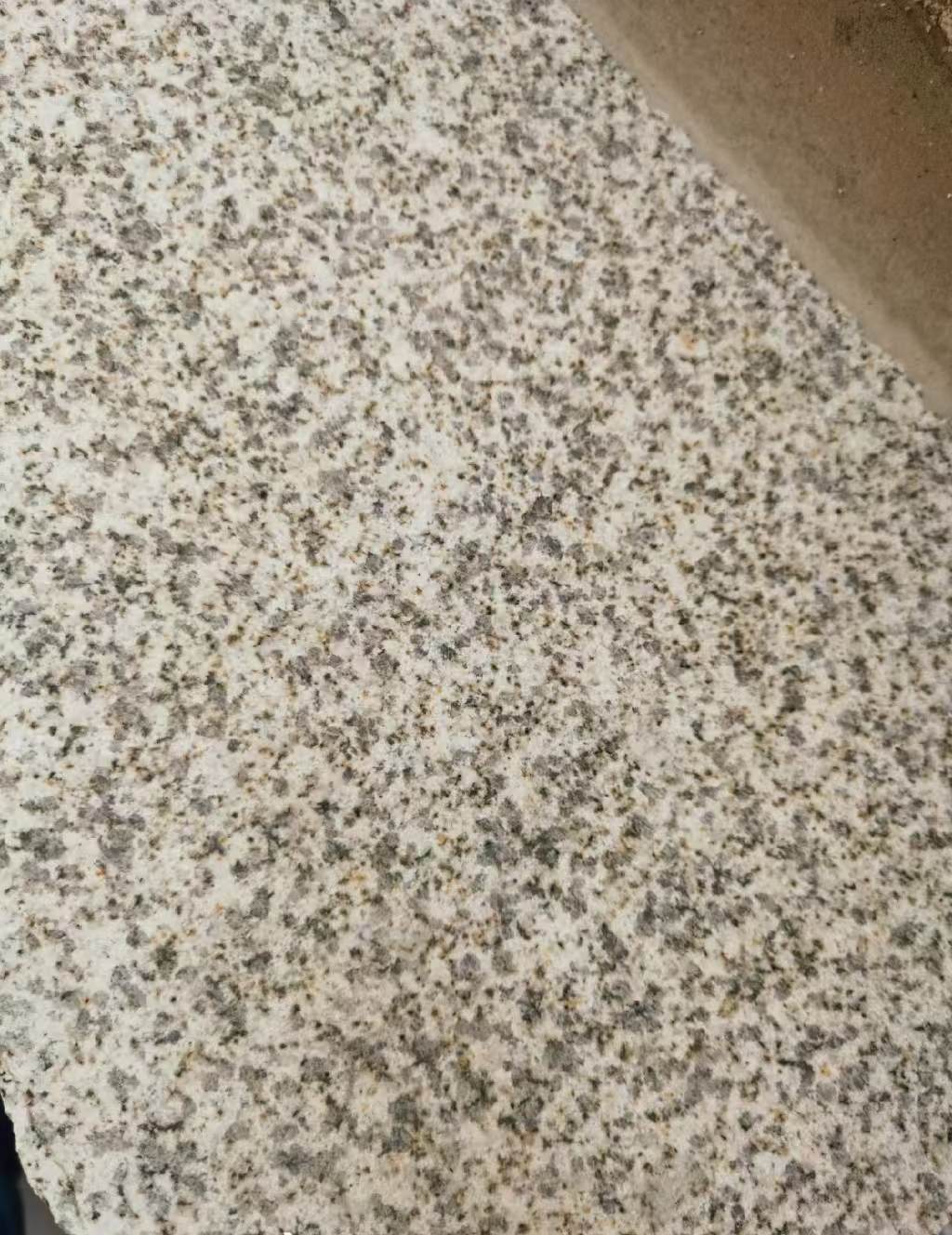 中卫 黄金麻中黄光面